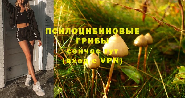 Альфа ПВП Алексеевка