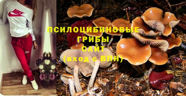 метадон Алексин