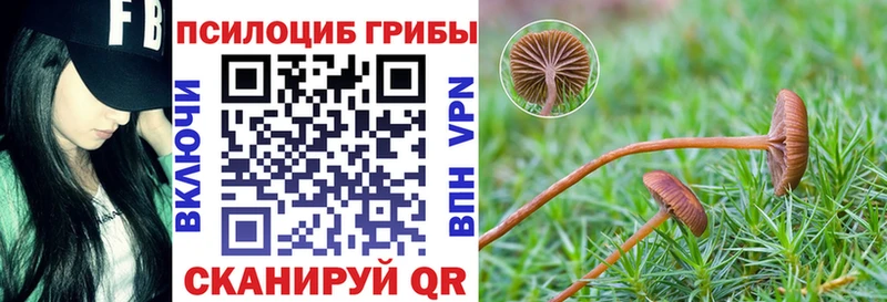 Галлюциногенные грибы Psilocybine cubensis  Южно-Сухокумск 